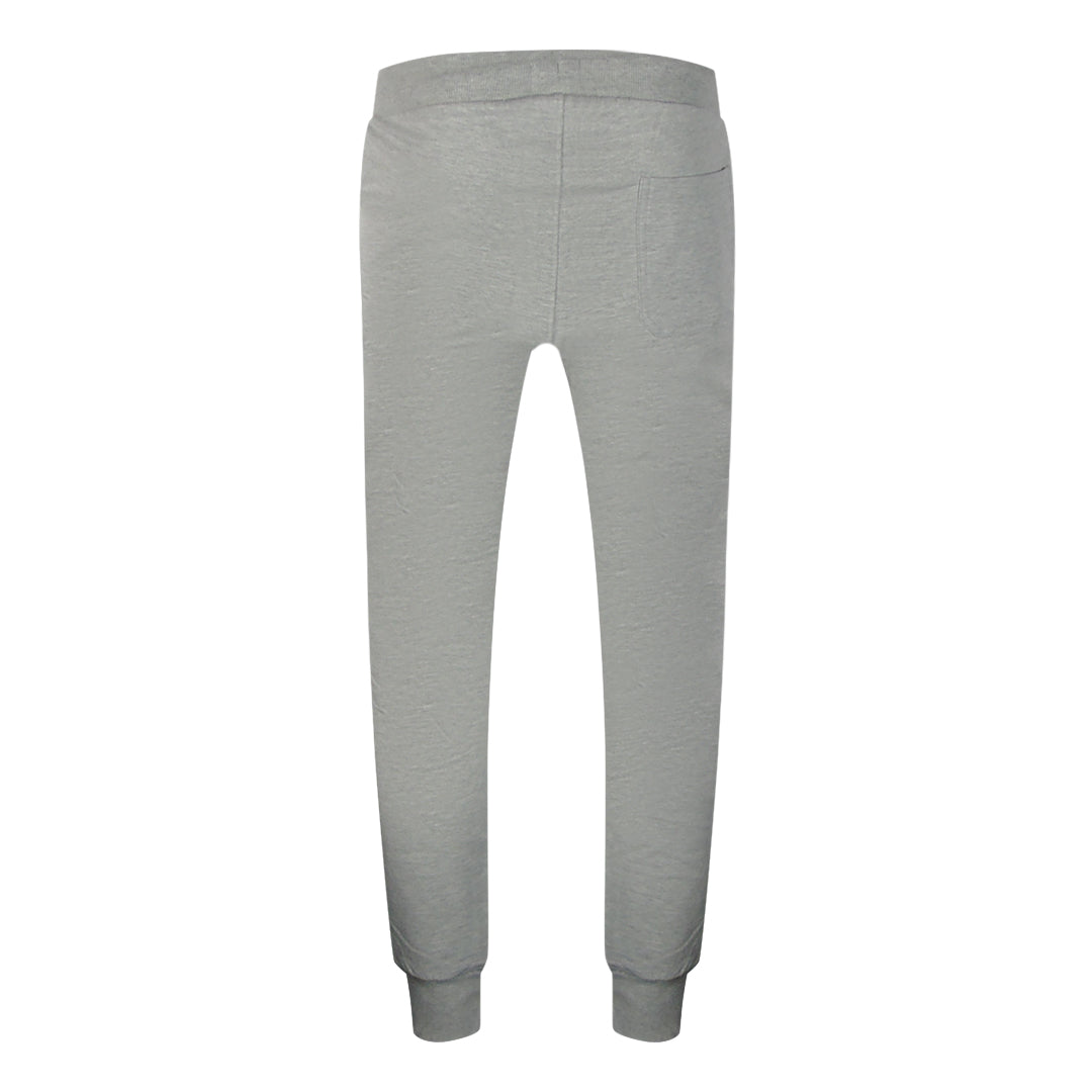 Aquascutium Iconic Crest Crewnecket St001 11 Grey Creckneck And Track Pants Set Male
