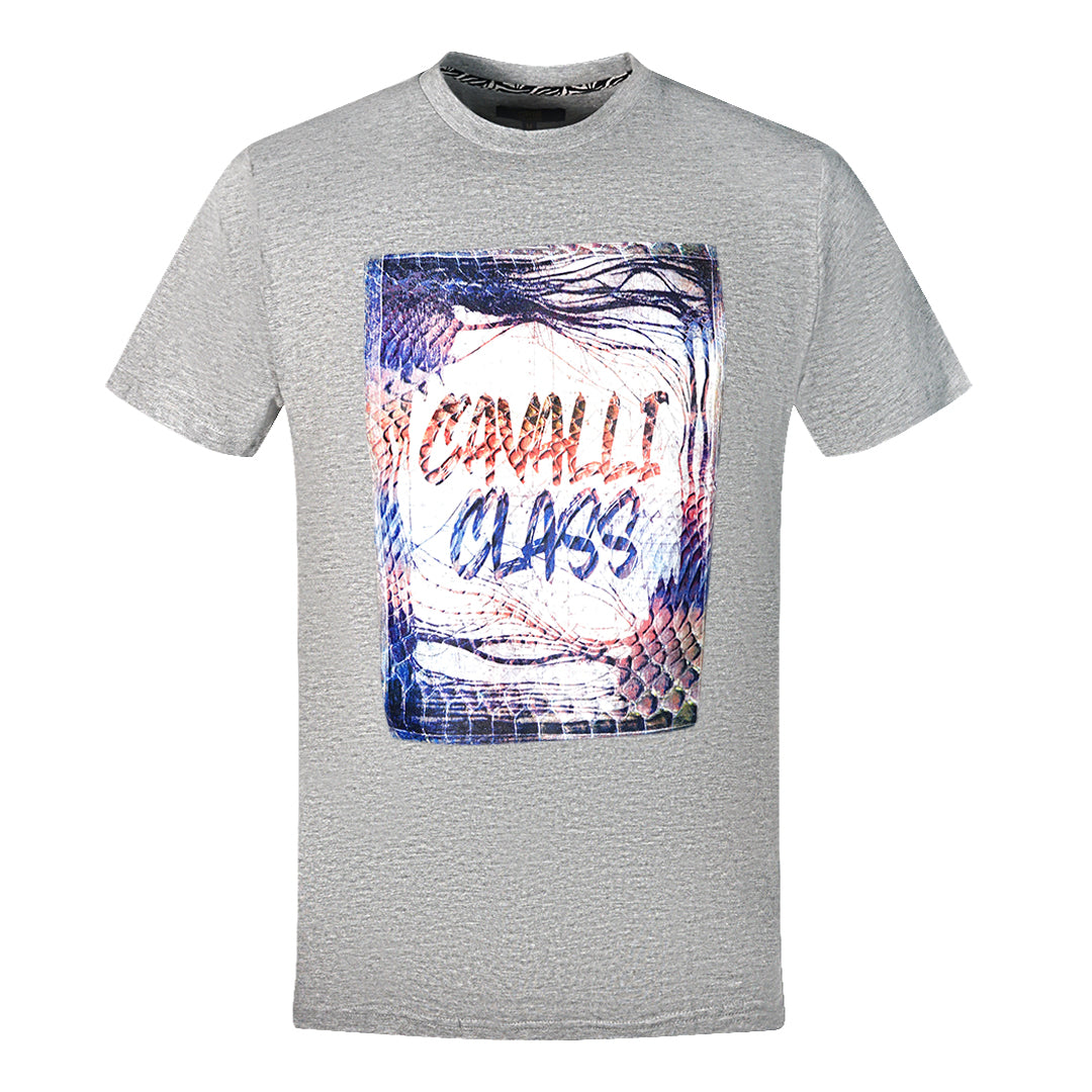 Cavalli Class Box Logo Grey T Shirt